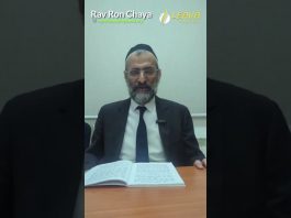 La Téchouva TOTALE – Lois de Téchouva (Chap 2 – 1ère partie) – Rav Ron Chaya