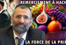 Remerciement à Hachem : la force de la prière – Rav Ron Chaya