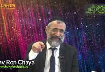 Soyons TOUS prêts pour se présenter DEVANT HACHEM, le D.IEU DU MONDE ENTIER – Rav Ron Chaya