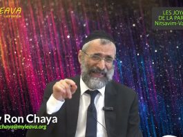 Soyons TOUS prêts pour se présenter DEVANT HACHEM, le D.IEU DU MONDE ENTIER – Rav Ron Chaya