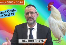 🐔 kapparot 2024 – 5785 avec le Rav Ron Chaya