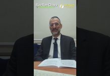 Servir Hachem par amour – Lois de Téchouva (Chap 10 – 2ème partie) – Rav Ron Chaya