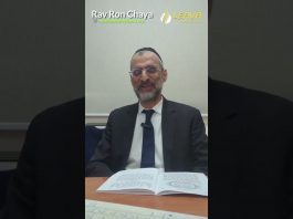 Servir Hachem par amour – Lois de Téchouva (Chap 10 – 2ème partie) – Rav Ron Chaya