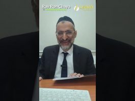La lettre du Ramban (2ème partie) – Lois de Téchouva – Rav Ron Chaya