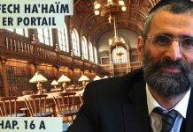 Le secret de la néshama et de la personne – Livre Néfech Ha’Haïm – Chap. 16 (P29) – Rav Ron Chaya