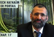 Les 3 parties de l’âme – Livre Néfech Ha’Haïm – Chap. 17 (P31) – Rav Ron Chaya