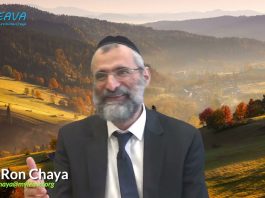 Respecter ses parents, même de nos jours ? – Rav Ron Chaya