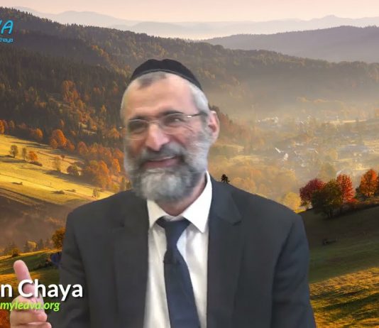 Respecter ses parents, même de nos jours ? – Rav Ron Chaya