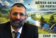 Est-il possible de détruire sa parole ? – Livre Néfech Ha’Haïm – Chap. 18b (P33) – Rav Ron Chaya