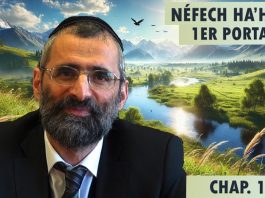 Est-il possible de détruire sa parole ? – Livre Néfech Ha’Haïm – Chap. 18b (P33) – Rav Ron Chaya