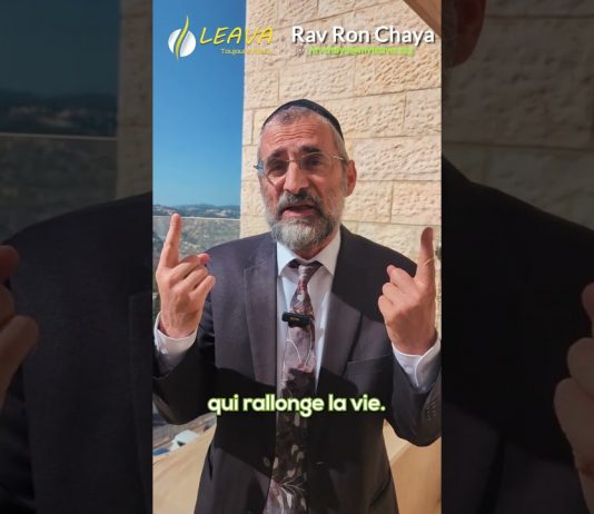 Bien mieux que le Etrog ! Rav Ron Chaya