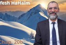 La lumière des mondes avec le Kaddish – Livre Néfech Ha’Haïm – Chap. 20 (P37) – Rav Ron Chaya