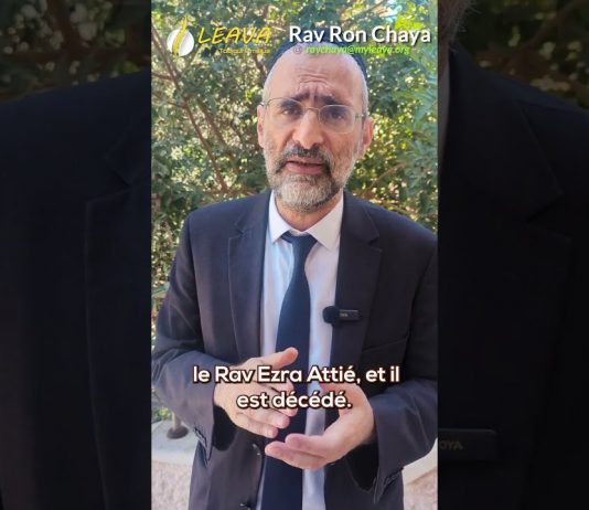 Apprendre de Nos Maîtres – Rav Ron Chaya