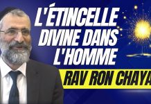 L’étincelle Divine dans l’HOMME – Rav Ron Chaya