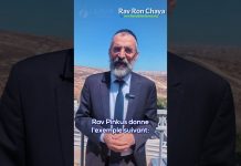 C’est MAINTENANT qu’il faut agir – Rav Ron Chaya