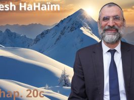 La Torah de D.IEU ramène notre âme – Livre Néfech Ha’Haïm – Chap. 20 (P38) – Rav Ron Chaya