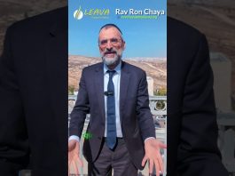 Voir le BIEN, Toujours… – Rav Ron Chaya