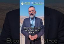La clé de TOUT 🔑 – Rav Ron Chaya