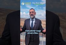 L’unité va NOUS SAUVER – Rav Ron Chaya