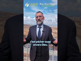 L’unité va NOUS SAUVER – Rav Ron Chaya