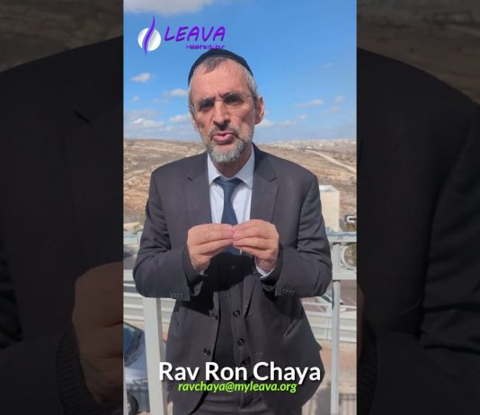 Le principe de la MOUCHE !!!