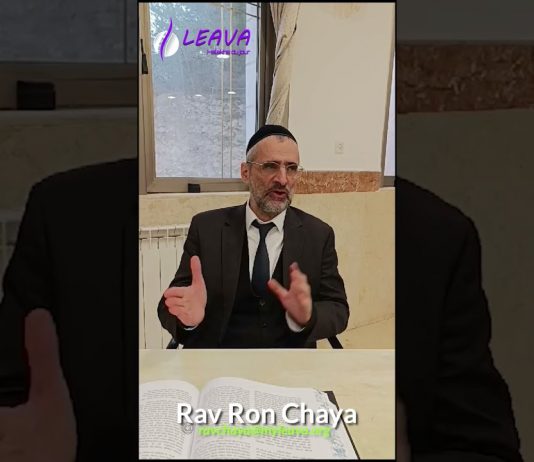 Motsae Shabbat : c’est quand ?