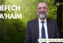 Permis de transgresser un commandement ? – Livre Néfech Ha’Haïm – Chap. 22 (P41)