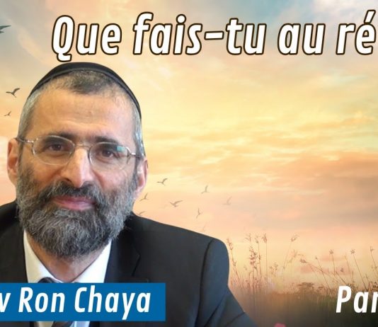 Que fais-tu au réveil ? – #HDJ – P4