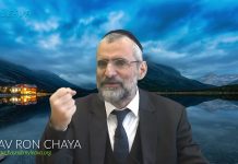 Une vie pleine de sens