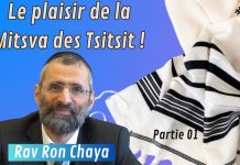 Le plaisir de la Mitsva des Tsitsit ! – #HDJ – P1