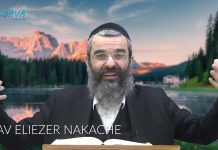 La force de la réflexion sur la Torah – 62 – LIVRE NÉFECH HA’HAIM