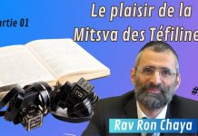 Le plaisir de la Mitsva des Téfiline ! – #HDJ – P1