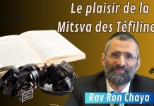 Le plaisir de la Mitsva des Téfiline ! – #HDJ – P3
