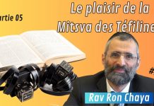Le plaisir de la Mitsva des Téfiline ! – #HDJ – P6