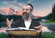 Quel diplôme après la Yéshiva ? – 67 – LIVRE NÉFECH HA’HAIM