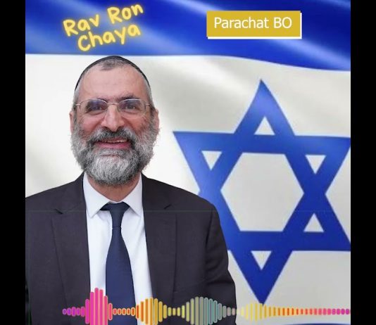🕯️🍷🥖 Chabbat Parachat BO 2025 – message du Rav Ron Chaya