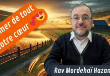 Aimer de tout NOTRE cœur 💕😍