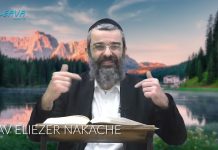 Des membres et tendons pour des mitzvot – 71 – LIVRE NÉFECH HA’HAIM