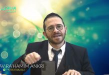 Le soleil brille pour tout le monde !