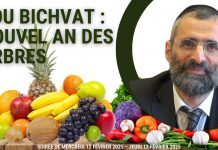 Tou Bichvat 5785 – Nouvel an des arbres