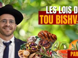 Les lois de Tou Bichvat (Partie 1)