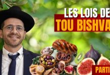 Les lois de Tou Bichvat (Partie 2)