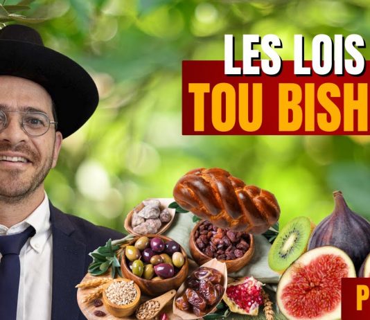 Les lois de Tou Bichvat (Partie 2)