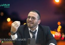 Les moutons de Panurge !