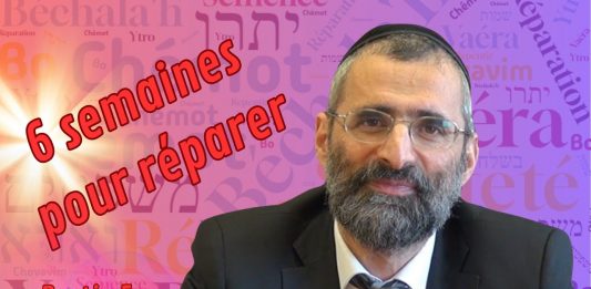 Chovavim : 6 semaines pour réparer (Partie 5)