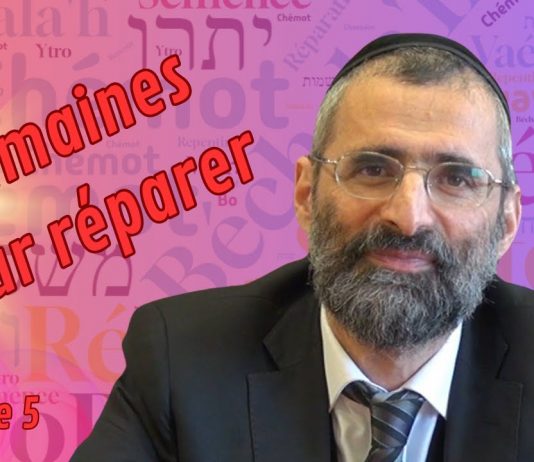 Chovavim : 6 semaines pour réparer (Partie 5)