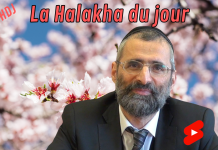 Birkat Ha-ilanot : qu’est-ce que c’est ?