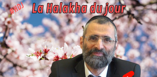 Birkat Ha-ilanot : qu’est-ce que c’est ?