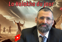 Sens profond de la Parasha Zakhor (3ème partie)