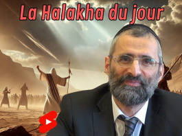 Sens profond de la Parasha Zakhor (1ère partie)